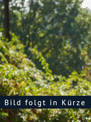 Bild von Christoph Spindler, Koch