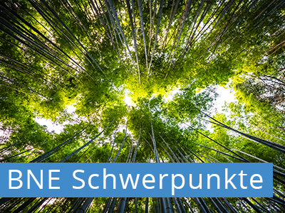 Schwerpunkte der Bildung nachhaltiger Entwicklung
