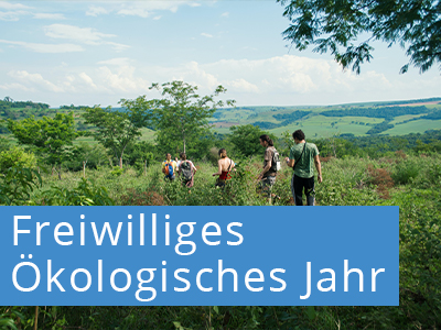 Freiwilliges ökologisches Jahr